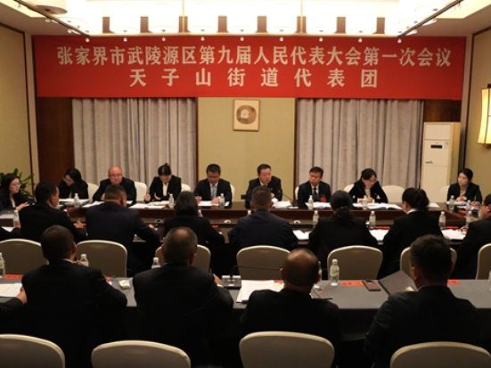 【两会时刻】凝心聚力谋发展 同心奋进启新程 武陵源区人大代表开展分团讨论