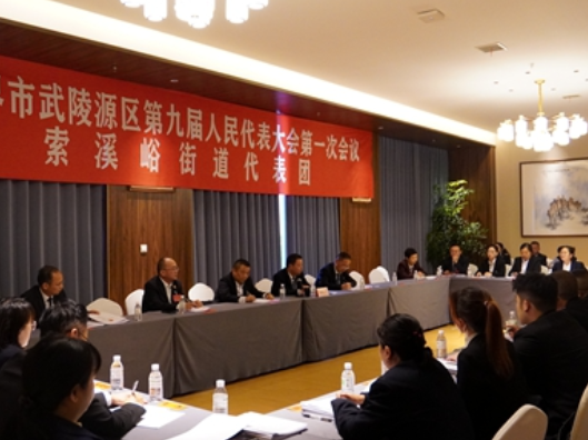 【两会时刻】武陵源区人大代表热议区人大常委会工作报告和“两院”工作报告
