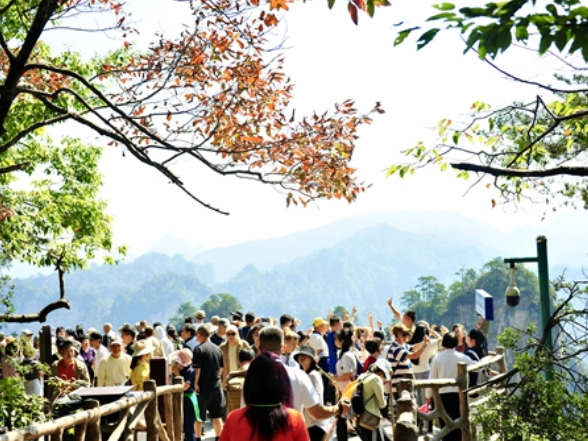 层林焕彩醉游人！张家界国家森林公园迎来斑斓秋景