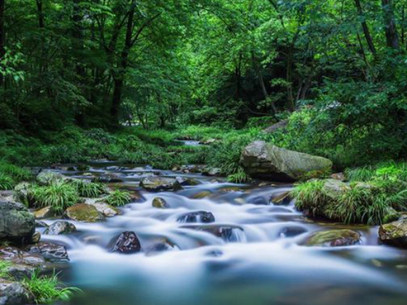 一壶茶里的山河岁月