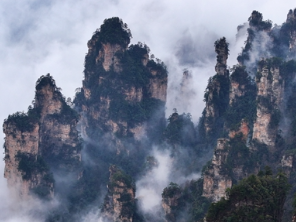 春分云雾绕峰林 张家界天子山索道现人间仙境