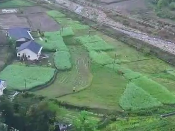 雾锁黄河村 春景入画来