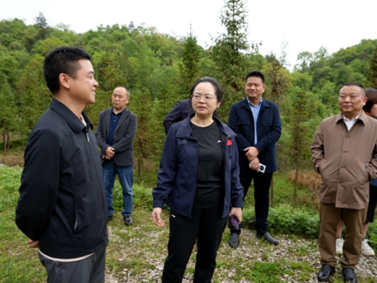 吴俞萍到索溪峪街道开展调研