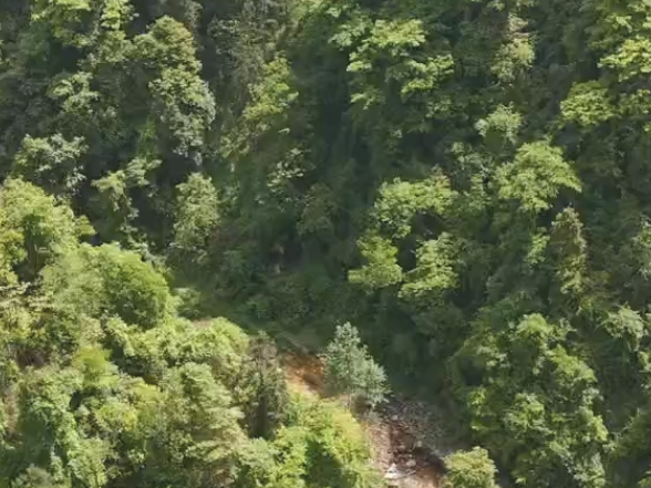 武陵源区黄河村：深山藏秘境 幽谷蕴诗情