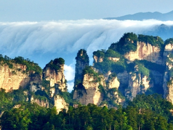 张家界武陵源：朝霞漫卷黄石寨 峰林云海入画来