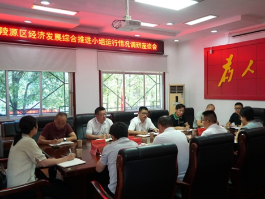 武陵源区经济发展综合推进小组运行情况调研座谈会召开