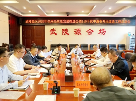武陵源区召开2026年电网高质量发展推进会暨110千伏中湖变升压改造工程启动会