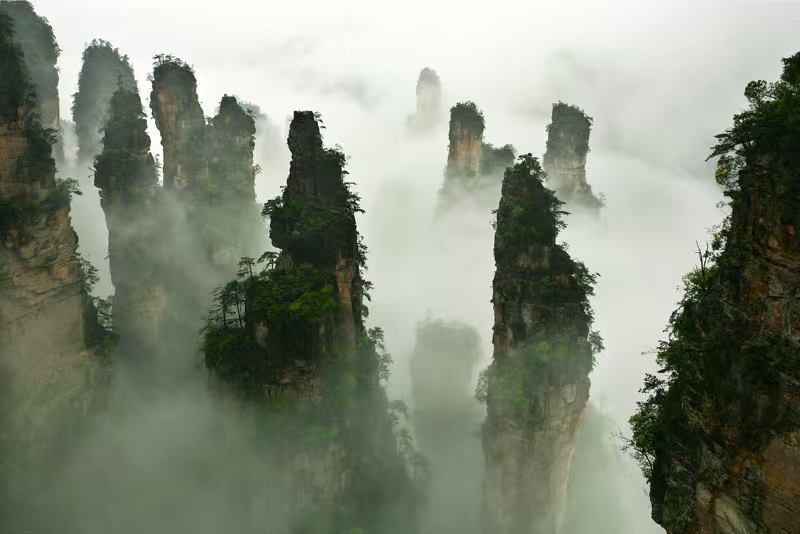 林_20250826101208.png