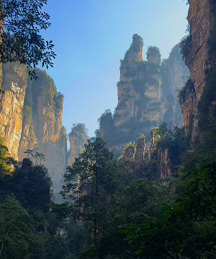 11111222222图片1.png