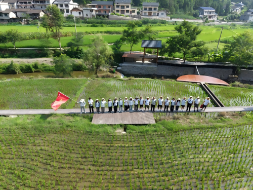 图片8(1).png