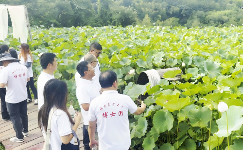 图片3(1).png