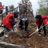 溪口镇：学党史 植树添绿正当时