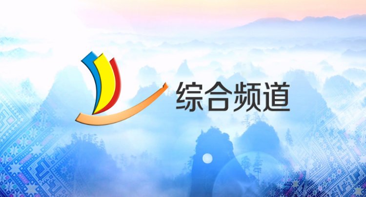 通道电视台综合频道