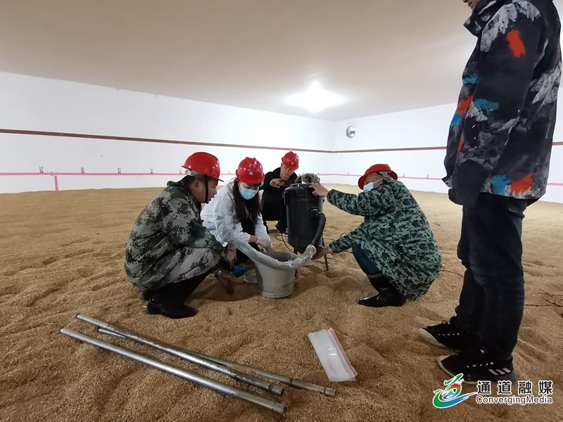 储备粮现场抽样检测.jpg