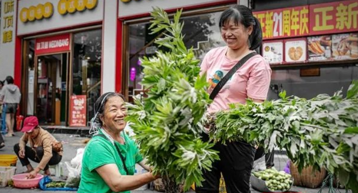 端午佳节|艾草飘香侗乡城