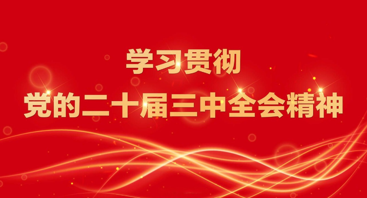 学习贯彻党的二十届三中全会精神