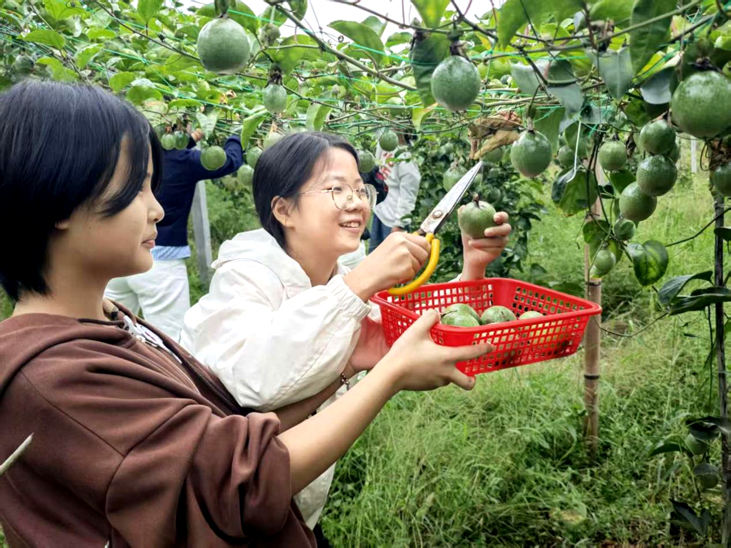 图片5.jpg