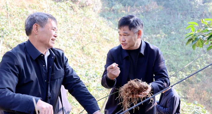 覃歇民到牙屯堡镇调研