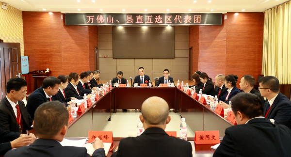 聚焦两会 | 张克任参加万佛山、县直五选区代表团会议  审议各项工作报告