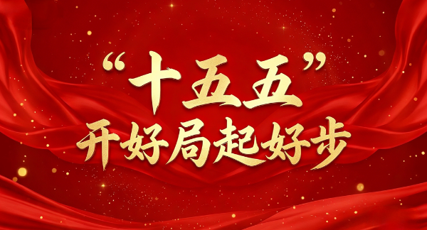 “十五五”开好局起好步