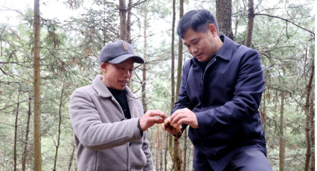 覃歇民到坪坦乡调研