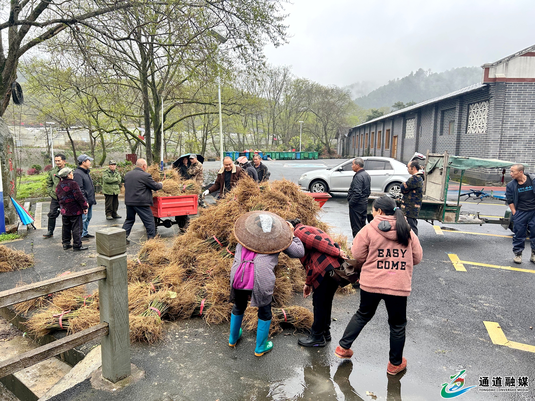 微信图片_20260323133427_2_2649.jpg 微信图片_20260323133427_2_2649.jpg