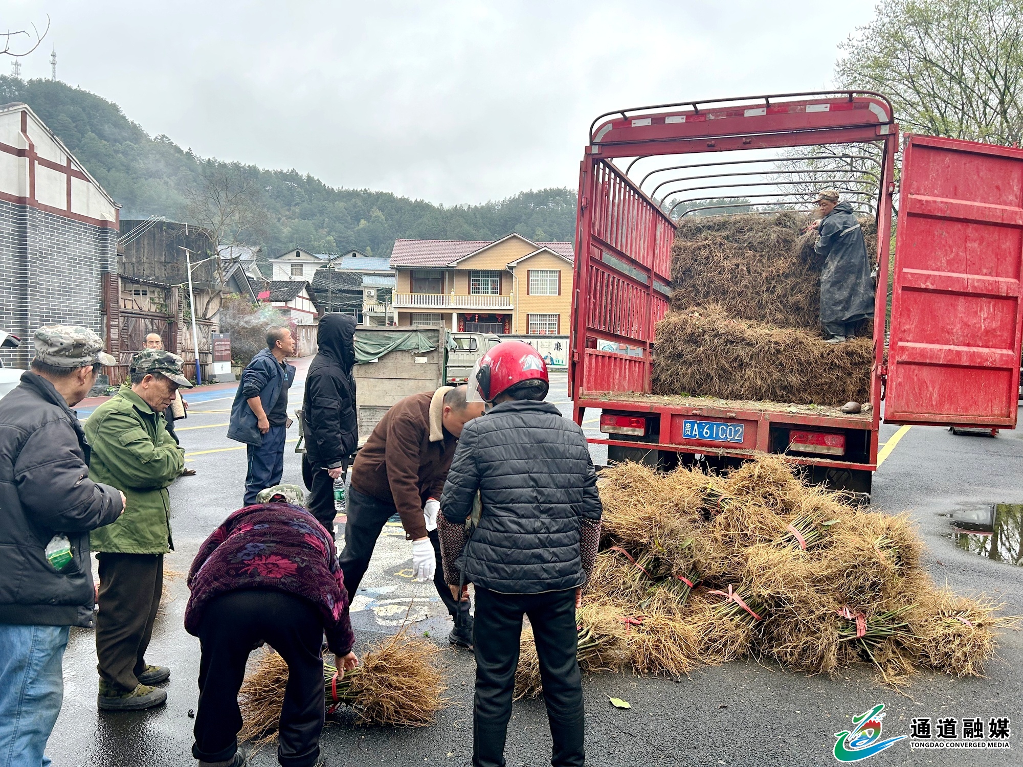 微信图片_20260323133428_3_2649.jpg 微信图片_20260323133428_3_2649.jpg