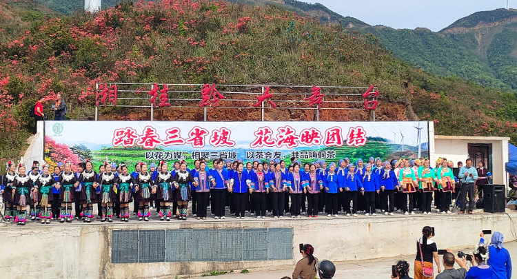 独坡镇：杜鹃花海映三省 山歌唱响团结情