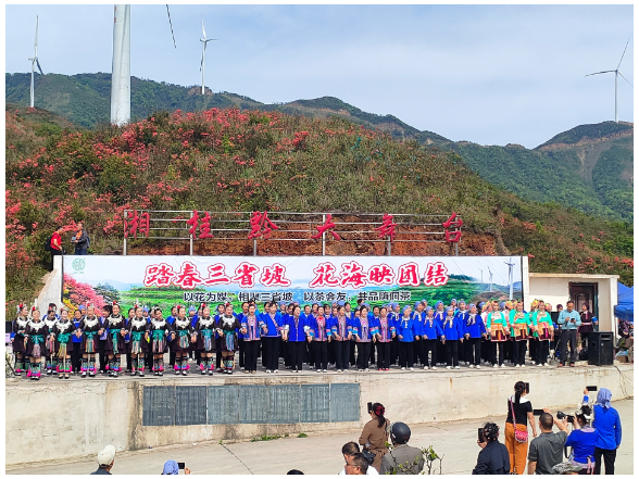 独坡镇：杜鹃花海映三省 山歌唱响团结情
