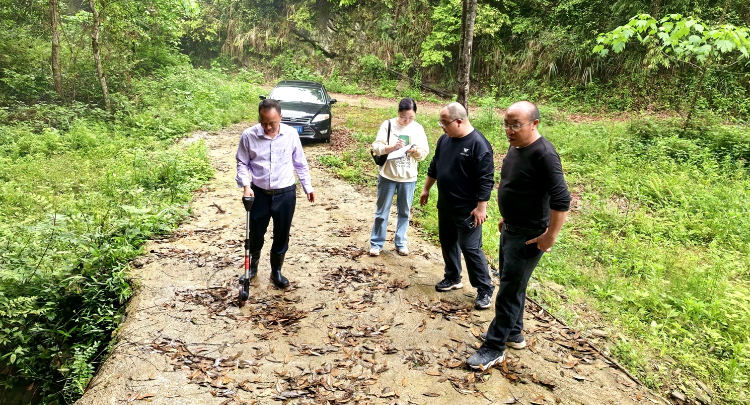 审计下沉一线 筑牢振兴根基