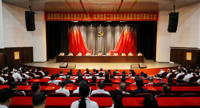 全县“两优一先”表彰大会举行