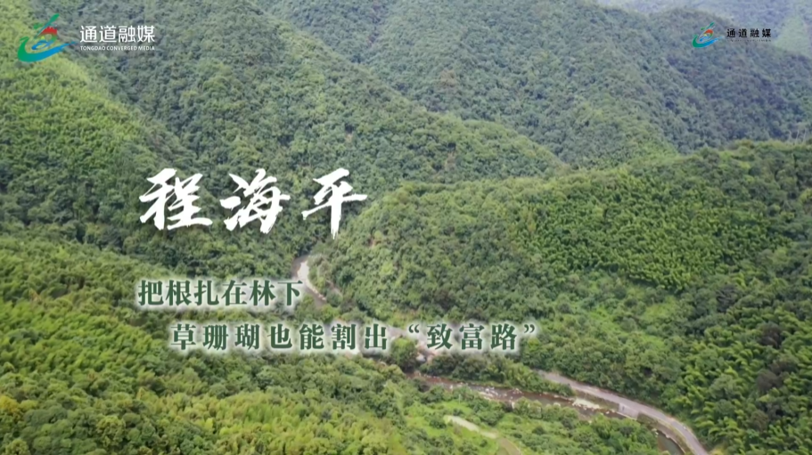 通道人说通道事 | 程海平