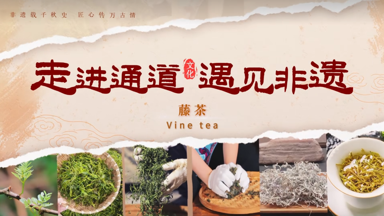 走进通道 遇见非遗 | 藤茶