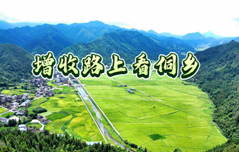 增收路上看侗乡