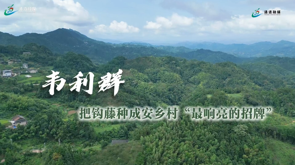 通道人说通道事 | 韦利群