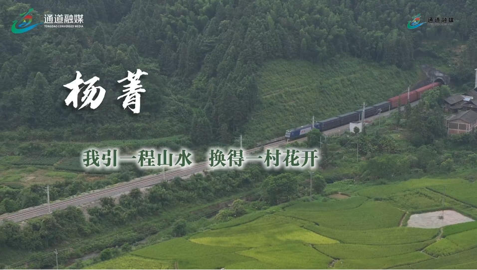  通道人说通道事 | 杨菁