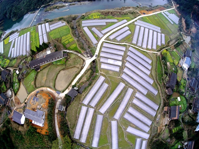 官团村生态大棚蔬菜基地.jpg
