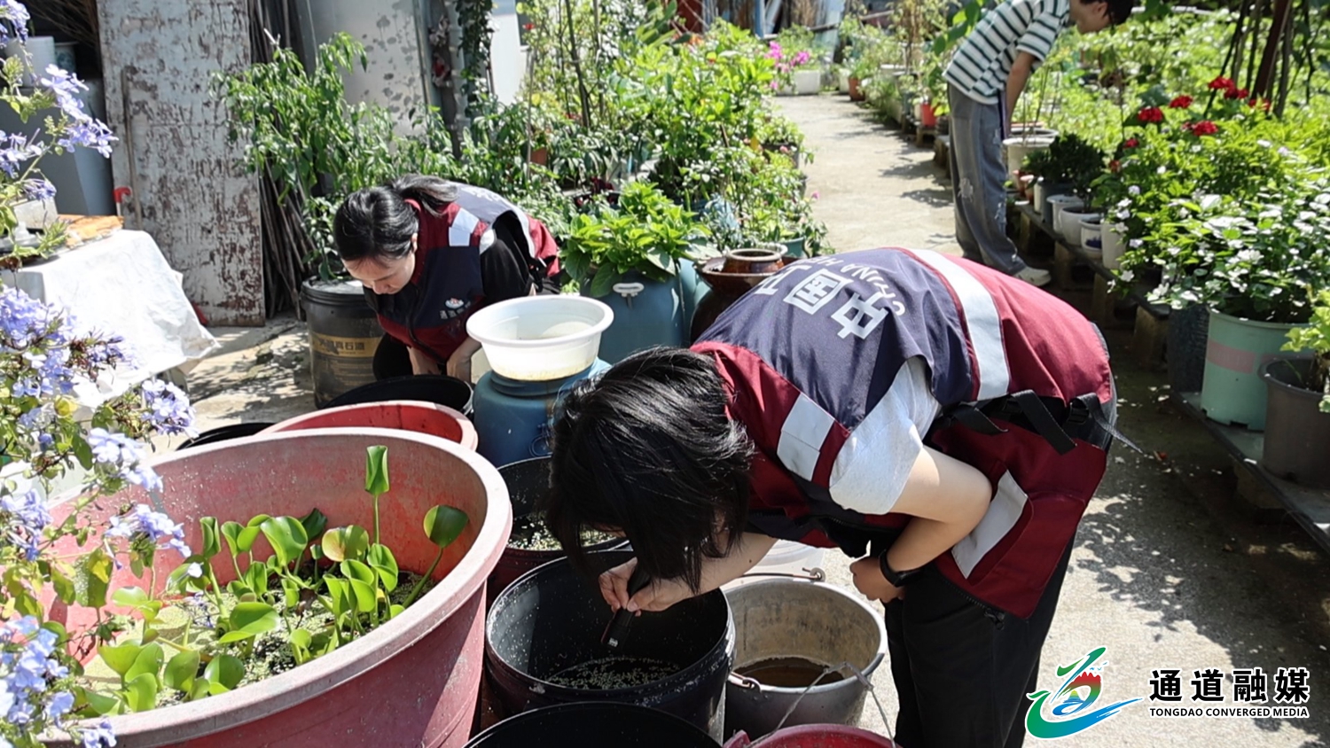 县疾控中心积极开展蚊媒密度监测，全力防控蚊媒传染病+(5).JPG