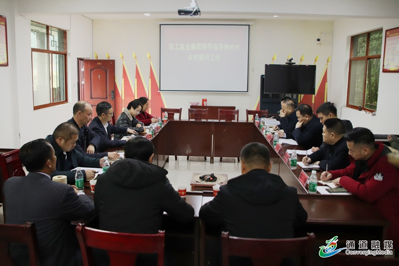 省轻工盐业集团董事长冯传良一行到横岭村调研乡村振兴工作 (10).jpg