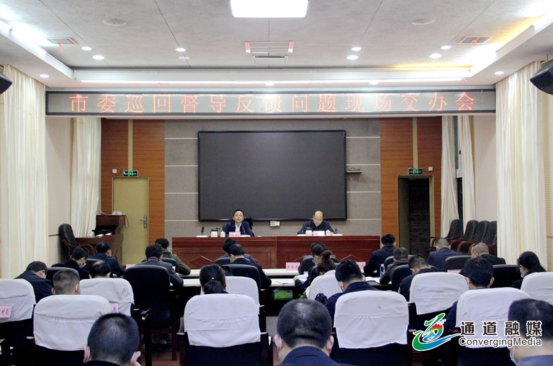 我县召开市委巡回督导反馈问题现场交办会1.jpg