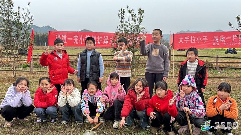 图片4.jpg