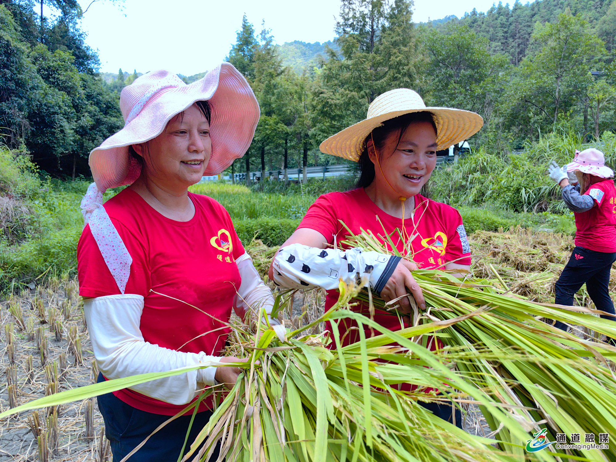 志愿者助农秋收解民忧+帮扶群众暖民心+(33).jpg