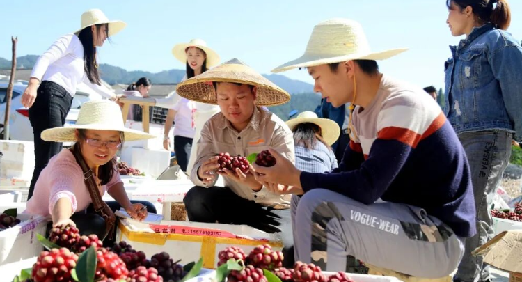 独坡镇：党建红引领产业绿 茶药产业谱写乡村振兴新篇章