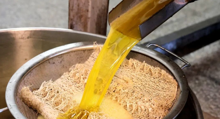 油茶加工忙 榨出“致富油”