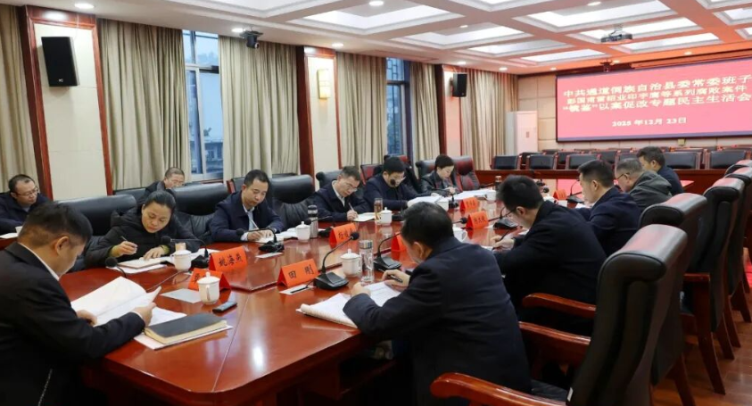 中共通道侗族自治县委常委班子召开“镜鉴”以案促改专题民主生活会