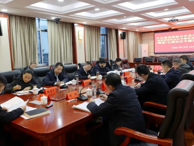 中共通道侗族自治县委常委班子召开“镜鉴”以案促改专题民主生活会