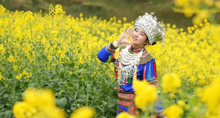 和你在油菜花海 与春天撞个满怀~