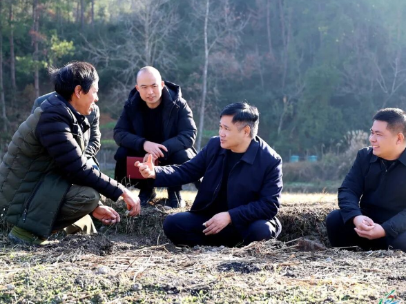 覃歇民到溪口镇调研