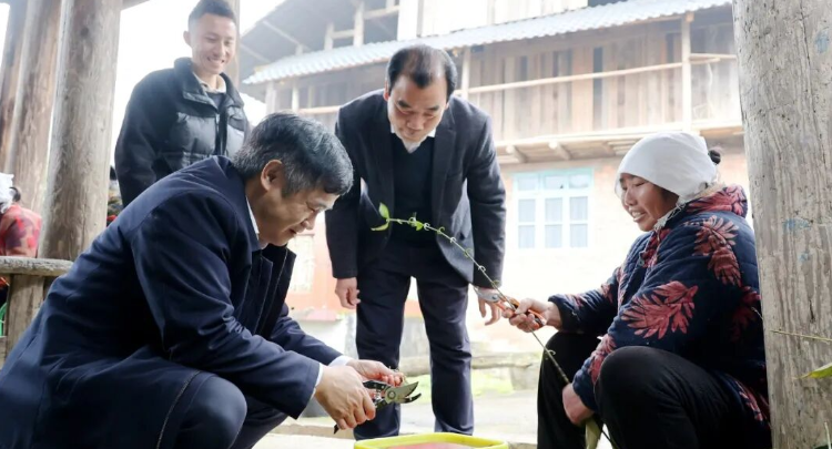 覃歇民到菁芜洲镇调研