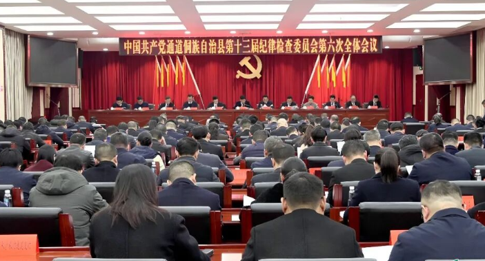 县第十三届纪律检查委员会第六次全体会议召开